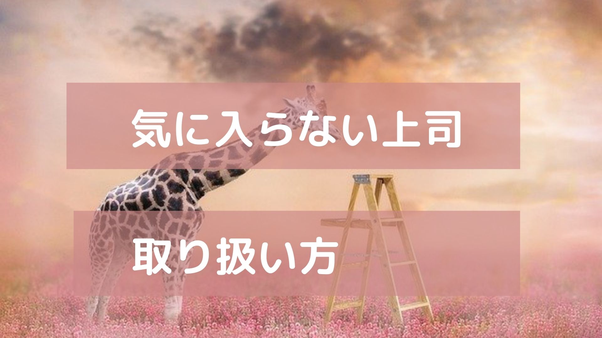 人間関係改善、気に入らない上司