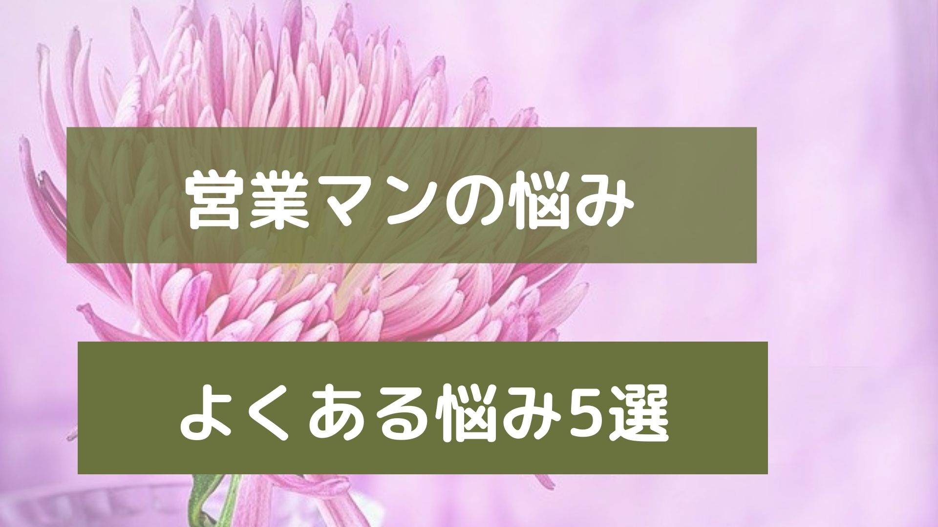 営業マンの悩み5選　解決法